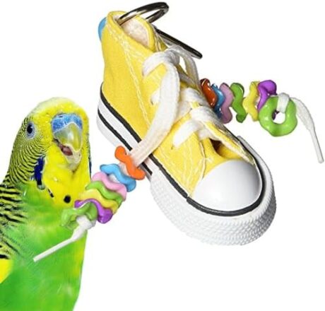 Super Bird Creations SB719 Beaker Sneaker Bird Toy for Parrotlets, Parakeets, Cockatiels, Lovebirds, ringnecks, Medium Conures - Mini Colorful Canvas Sneaker - Small/Medium Bird Size, 6" x 2"