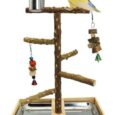 Tfwadmx-Bird-Perch-Natural-Wood-Stand-Parakeet-Playground-Toy-Parrot.jpg
