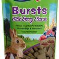 Vitakraft-Bursts-Small-Animal-Treats-Wild-Berry-Snacks.jpg