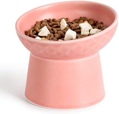 YauYik Small Raised Cat Bowls, Ceramic Tilted Elevated Food or Water Bowls, Stress Free, Backflow Prevention, Dishwasher & Microwave Safe, Lead & Cadmium Free, Pink