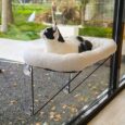 Zakkart-Cat-Window-Perch-100-Metal-Supported-from-Below.jpg