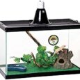 Zilla-10-Gallon-Pet-Reptile-Starter-Habitat-Kit-with-Light.jpg