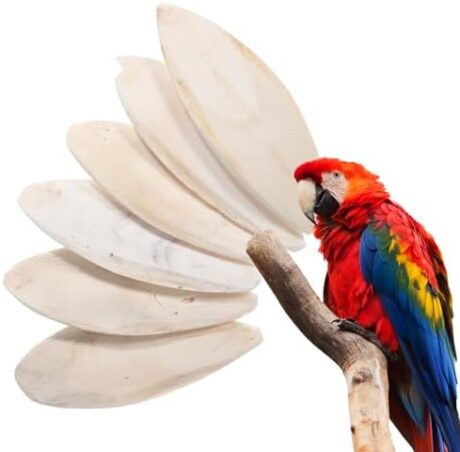 6 Pcs Bird Cuttlebone Chew Toy, Natural Bird Cuddle Bone Cuttlefish Bone for Parrot Cockatiel Budgie Tortoise Reptile Turtle Snails Parakeet Treats Supplies