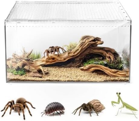 AZV Escape Proof Reptile Terrarium,Shatter Proof Polycarbonate Tarantula Tank with Magnetic Lid,Ventilated Spider Enclosure,360° Clear View,Easy Clean Habitat for Gecko,Frogs,Insects,Hermit Crabs L