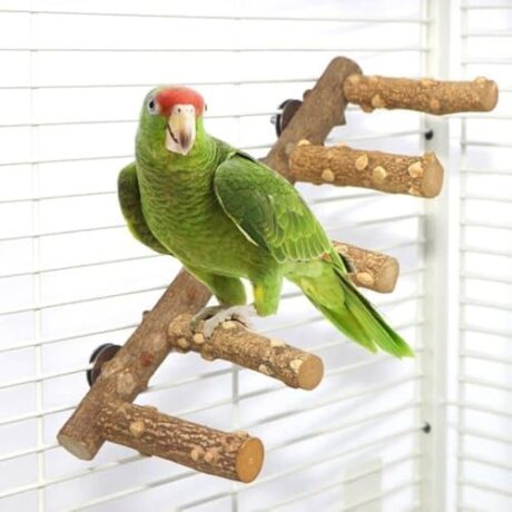 Bird Ladder Perch Cage Nature Wood Stand Parrot Chew Toy for Small Medium Parrot Animal (M) (Bird Ladder)