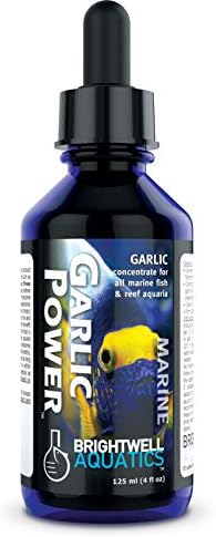 Brightwell Aquatics GarlicPower Garlic Extract for Aquarium Fish Food – Enhances Feeding Response – Boosts Nutrition – Ideal for Marine & Reef Tanks, 125 ml