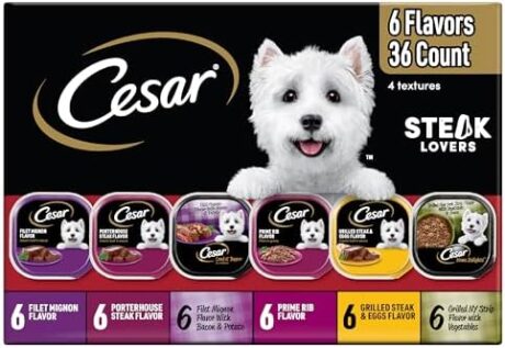 Cesar Wet Dog Food Steak Lovers Variety Pack, Adult, Wet Food for Dogs with Real Meat, 3.5 oz Easy Peel Trays, 36 Count