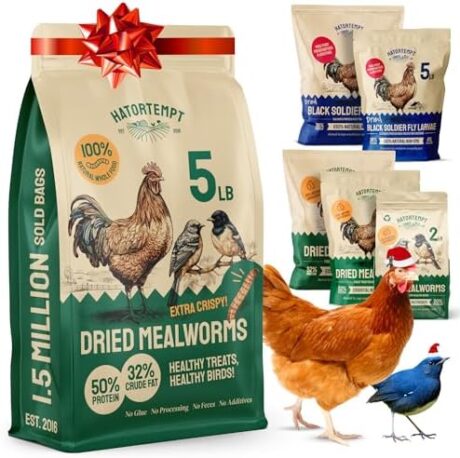 Hatortempt Dried Mealworms - 5 Lb, Non-GMO & Organic - High-Protein Mealworms for Wild Birds & Ducks, Chicken & Bird Food