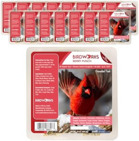 Heath Outdoor Products Berry All Season No Mess Suet Cake Birders Pack, Food for Woodpeckers, Cardinals, Siskins, Sparrows, Finch's & Many More Wild Birds & More - 10oz Suet Feeder, (Pack of 16)