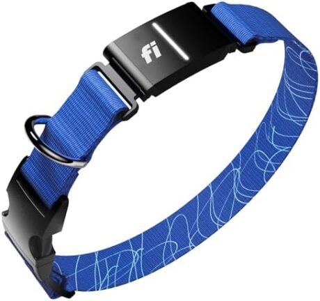 New Fi Series 3+ Smart Dog Tracker Collar [12 Month Membership Included] GPS Tracker for Dogs with Health & Behavior Monitoring, Escape Alerts, Waterproof, LED, Apple Watch Compatible (Blue, Medium)