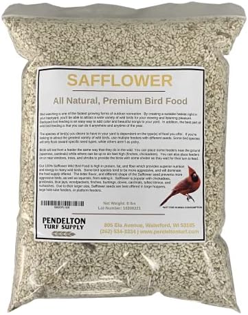 Pendelton Turf Supply Safflower Wild Bird Seed | All-Natural, Premium Bird Seed (8 lbs Resealable Bag)
