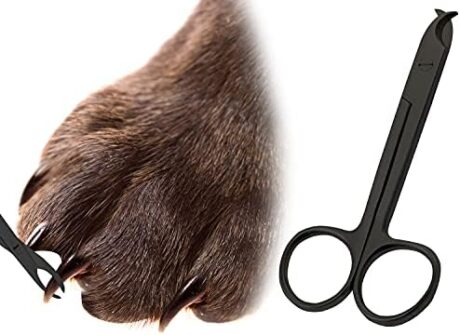 Pet Nail Clippers for Small Animals - Best Cat Nail Clippers & Claw Trimmer for Home Grooming Kit - Professional Grooming Tool for Tiny Dog Cat Bunny Rabbit Bird (Black)