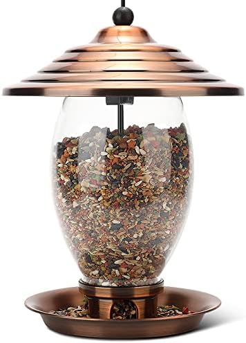 REALEAD Metal and Glass Wild Bird Feeder for Outside - 3 lbs Seed Capacity, Outdoor Hanging for Garden Yard