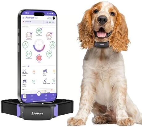V3.0 Dog Health Monitor – AI Health Collar with 24/7 Vital Signs Tracks Pain GPS, Telehealth AskaVet & Share with Your Vet & Apple Watch Sync – Subscription Required (Medium)