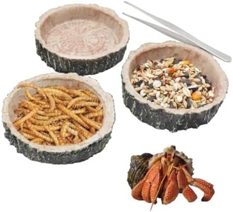 3 Pack Reptile Water Dish Food Bowls, Hermit Crab Food Dish with Feeding Tongs, Bearded Dragon Water Bowl, Suitable for Hermit Crab Lizard Gecko Tortoise Turtle Frog Leopard Crested Gecko