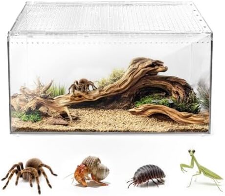 AZV Escape Proof Reptile Terrarium,Shatter Proof Polycarbonate Tarantula Tank with Magnetic Lid,Ventilated Spider Enclosure,360° Clear View,Easy Clean Habitat for Gecko,Frogs,Insects,Hermit Crabs S