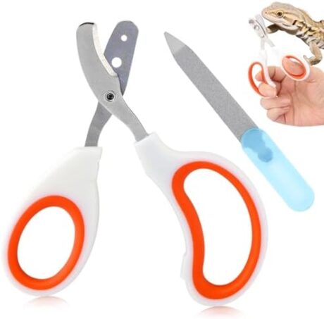 Bearded Dragon Nail Clippers, Stainless Steel Cat Nails Trimmer, Small Animal Nail Clippers for Birds Hamsters Rabbits Chameleon, Bearded Dragon Supplies Professional Claw Trimmers(Orange)