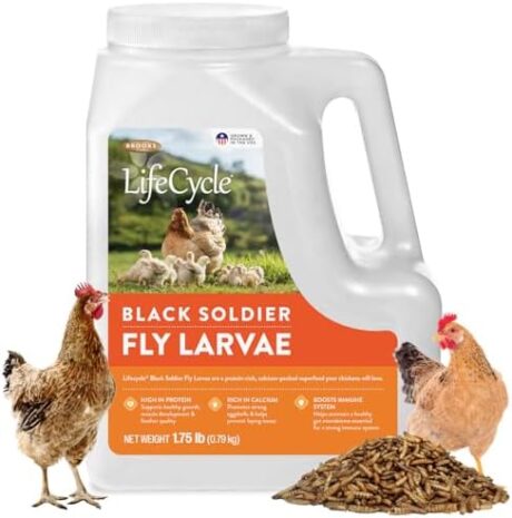 Black Soldier Fly Larvae Chicken Treats, Mealworms Alternative, Grubs for Chickens, High Calcium for Laying Hens, Made in USA, 1.75 lbs