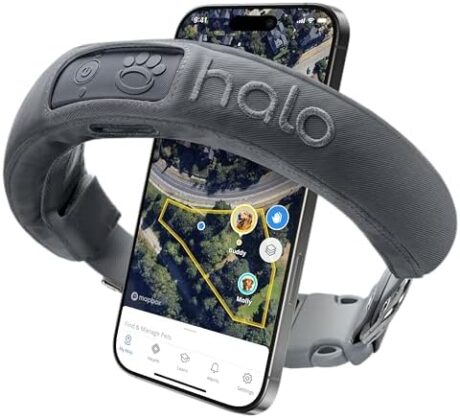 Halo Collar 3, Multifunctional GPS Wireless Dog Fence & Dog Training Collar with GPS Tracker, Subscription Required, Waterproof, Graphite (Medium/Large)