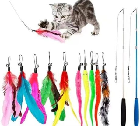 JIARON Cat Toys Feather Toy, 2PCS Retractable Wand and 10PCS Replacement Teaser with Bell Refills, Interactive Catcher and Funny Exercise for Kitten.