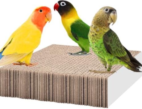 KATUMO Bird Toys, 7.8 Inch Paper Parakeet Shredding Chewing Toys Parrot Perch Platform Conure Foraging Toys for Budgie Cockatiel Lovebird Small Birds