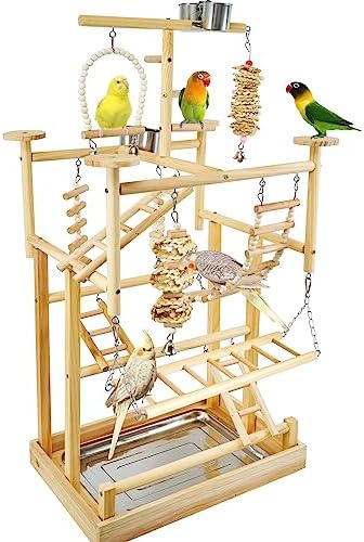 LIMIO Bird Playground - Natural Wood Parrot Playstand with Perches, Bird Play Gym & Accessories, Removable Tray & 4 Stainless Steel Cups