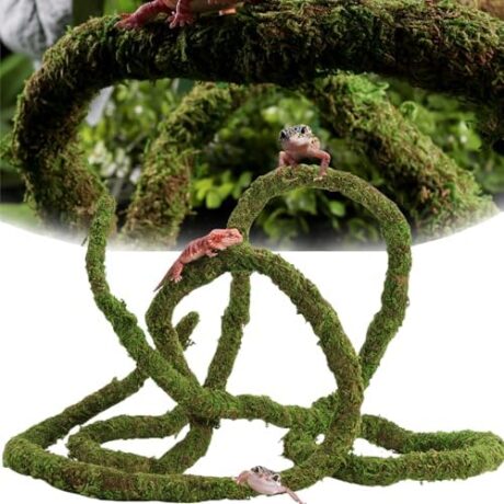 Moss Vine for Reptiles, Bendable Climbing Vines Reptile Tank Accessories, Natural Moss Rope for Leopard Gecko, Lizard, Snake, Chameleon, Frog Terrarium Decor (Jungle Green, 9.8 FT)