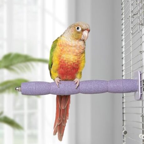 Parrot Perch Birds Nail File Perch Abrasive Surface Ceramic Paw Grinding Stick – Bird Nail File – for Parrots, Budgies, Parakeets, and Cockatiels Bird Cage Accessory (Purple, 7.8Inch)