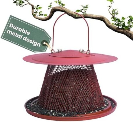 Perky-Pet Durable Wild Bird Feeder - 2.5 lb Seed Capacity - Feed up to 15 Birds at Once - Red, C00322 - Hanging Wild Bird Feeder for Outdoor Decor