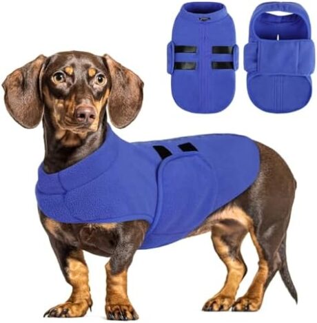 Queenmore Soft Fleece Dog Jacket, Warm Winter Coat with Leash Hole, Dachshund Sweaters for Small Dogs Cats Boy or Girl (Blue, S)