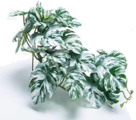 Reptile Fake Plants for Terrarium Artificial Tank Decor Accessories Suitable for Bearded Dragon Ball Python Crested Leopard Gecko Lizard Chameleon Snake-Monstera