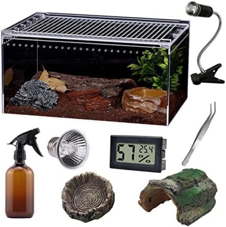 SANOSY Reptile Terrarium - Amphibian Tank Starter Kit, Eco Rainforest Feeding Box, Amphibian Feeding Box, Suitable for breeding Lizards, Snakes, Chameleons,Jumping Spiders