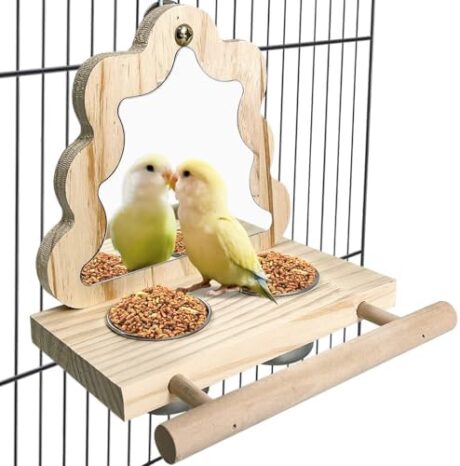 Tfwadmx Bird Parrot Wooden Feeding Cups Small Bird Feeding Dish Cups Stainless Steel Birds Bowls Food Water Bowls with Food Holder for Cockatiel Parakeet Macaw Finches Lovebirds
