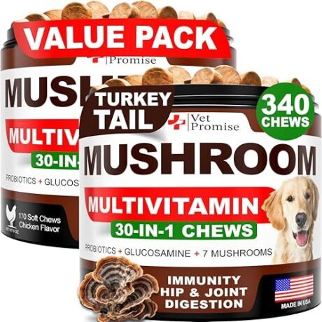 (2 Pack) Turkey Tail Mushroom for Dogs - 340 Chews - Mushroom Supplement for Dogs - Lions Mane - Reishi - Immunity Support Multivitamin Vitamins - Joint Health - Energy - Gut - Skin - Made in USA