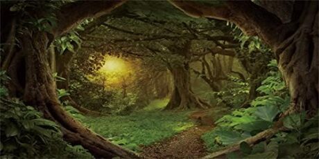 AWERT 24x12 inches Psychedelic Forest Terrarium Background Dim Old Trees Woodland Reptile Habitat Background Green Rainforest Aquarium Background Vinyl Background