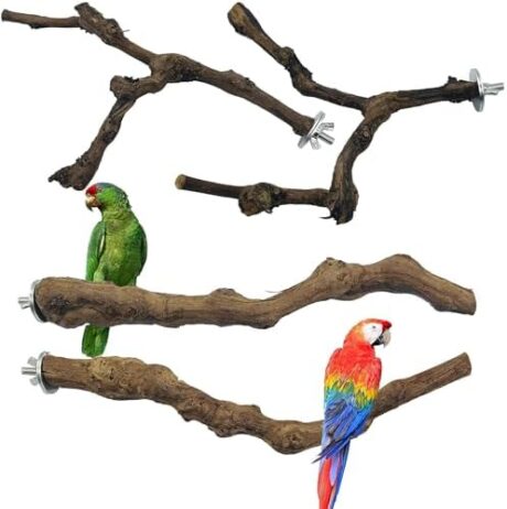 Allazone 4-Piece Bird Perch - Natural Grapevine Stick Swing Chewing Toys for Parrot Cages, Cockatiels, Parakeets, Finches