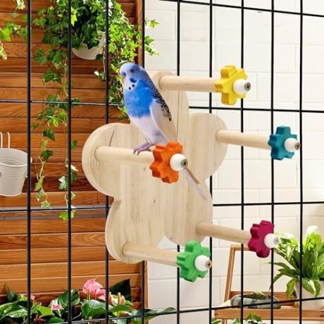 Bird Rotating Perch Toy,Durable Unique Wooden Ferris Wheel Parrot Toys with 5 Perches,Bird Cage Accessories for Parakeet, Cockatiel, Budgerigar,Conures, Lovebirds