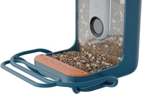 Birdbuddy Blue Perch Extender – Add-On Accessory for Better Watching Experience - Outdoor Bird Perch - Weatherproof and Durable