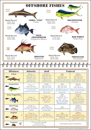 Florida Saltwater Fish Identification Book with FWC Rules, Regulations, Limits, and Sizes with 90+ Marine and Shark Photographs, Waterproof Fishing Guide, Angler and Fishermen Booklet