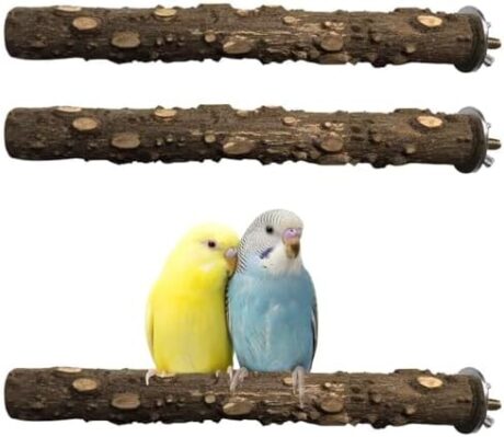 PINVNBY 3Pcs Bird Perches for Cage, Nature Wood Prickly Parrot Stand Toy Paw Grinding Stick for Small Medium Birds Parrot Parakeet Cockatiel Conure Cage Accessory