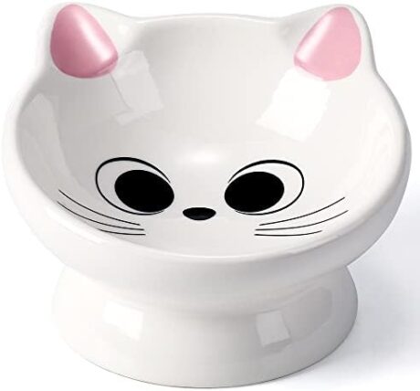 Raised Cat Food Bowl Ceramic 15° Tilted Cat Food Bowls Protect Cat's Spine Anti Vomiting Backflow Prevention Bowls for Adult Kitty, Kitten, and Small Dogs, Pink