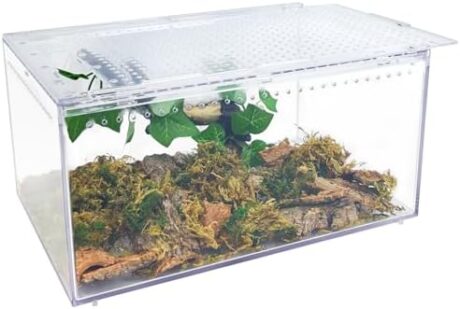 Reptile Terrarium Enclosure 12"X 8"X 6" Acrylic Tarantula Breeding Box Magnetic Hermit Crab Habitat Tank Transparent Jumping Spider Cage for Insect Snail Amphibians Sling Isopods (2.5 Gallon)