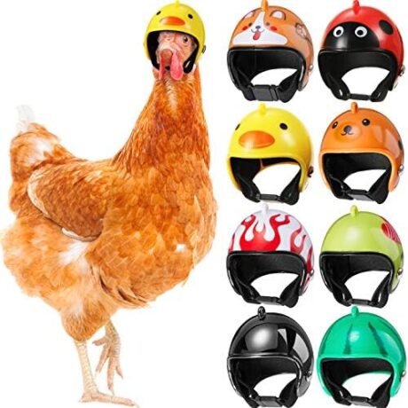 Skylety 8 Pieces Hens Helmet Chicken Pet Safety Helmet Funny Bird Hens Hat Headwear Small Pet Hard Hat Costumes Accessories for Chicken Bird Parrot Parakeet(Animal, Heart, Fruit)