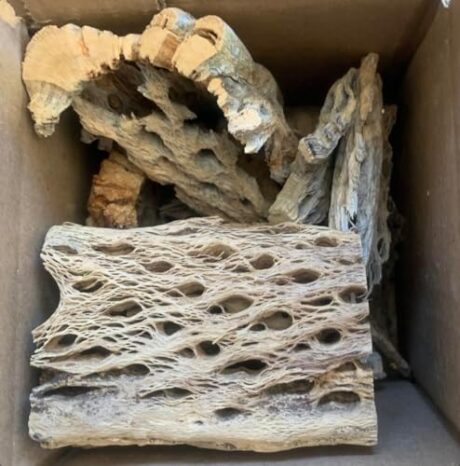 Teddy Bear Cholla Wood Shards – Natural Hermit Crab Treats & Habitat Enrichment for Reptiles, Fish, Small Pets, Birds & Aquariums (Small Box – 4x4x4” (Lengths up to 3 3/4", 10-15 Pieces))
