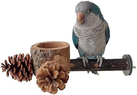 Bird Perch with Feeder for Cage & Chew Toys Pinecones - Bird Cage Accessories 100% Natural & Durable for Cockatiel, Conure, Budgie, Lovebird, Parakeet - Parrot Food Treats Bowl for Foraging
