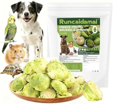 Natural Freeze-Dried Vegetable for Pets – Single Ingredient, Nutrient-Rich, Low-Calorie, Pure & Simple Digestive Crunchy Bites Snack for Dogs, Rabbits, Birds, Turtles & Guinea Pigs