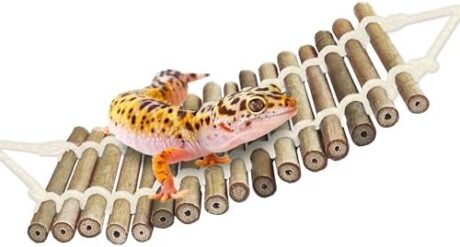 SunGrow Bamboo Gecko Reptile Climbing Bridge and Lizard Lounge, 18” Swinging Hideout Bridge, Helps Leopard Geckos with Thermoregulation, Increases Habitat Space, Can Be Submerged in Water