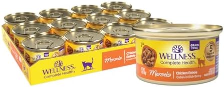 Wellness Complete Health Morsels Adult Wet Cat Food, Natural, Protein-Rich, Grain Free, 3 Ounce, 24 Pack, (Chicken Entrée)