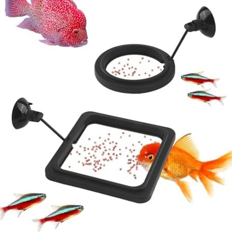 2-Pack Fish Feeding Ring - Prevent Water Turbulence from Washing Food into Filter - Round and Square Floating Fish Feeder Ring for Betta Guppy Goldfish and Other Small Fishes