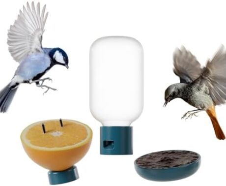 Birdbuddy 3-in-1 Nutrition Set - Outdoor Bird Accessories with Water Fountain, Fruit Spike & Jelly Tray Feeder - Durable, Easy Attachment for Bird House